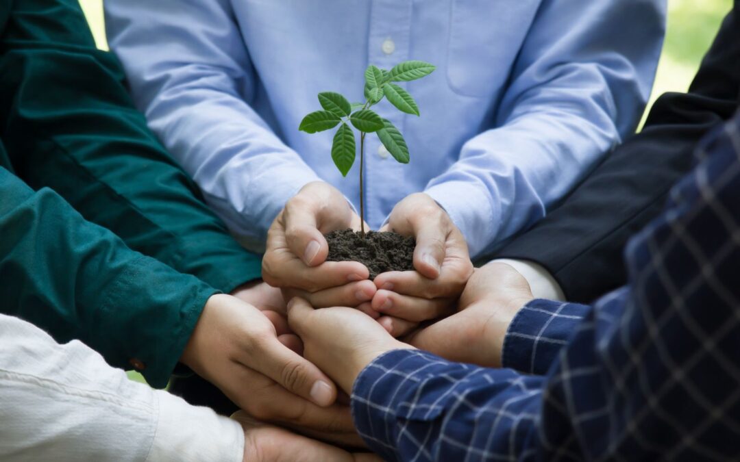 Sustentabilidade em Ação: Como a Prolam Transforma Aparas em Matéria-prima